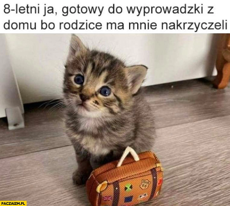 
    8 letni ja gotowy do wyprowadzki z domu bo rodzice na mnie nakrzyczeli kot kotek