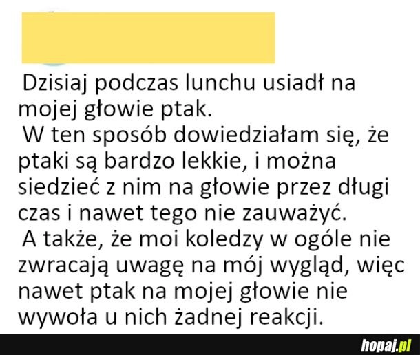 
    Ludzie nie zwracają uwagi na wygląd