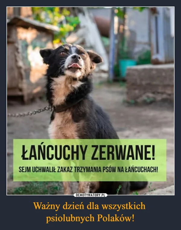 
    Ważny dzień dla wszystkich psiolubnych Polaków!