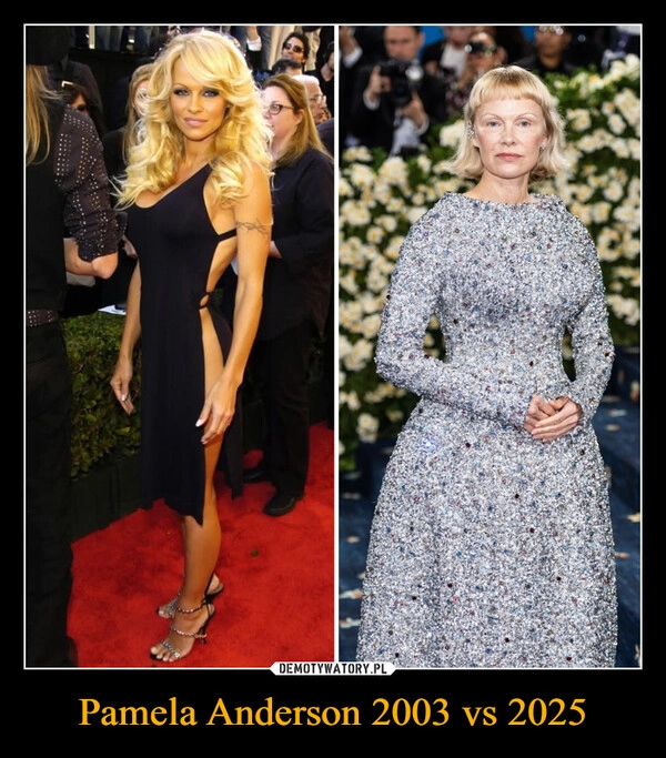
    Pamela Anderson 2003 vs 2025