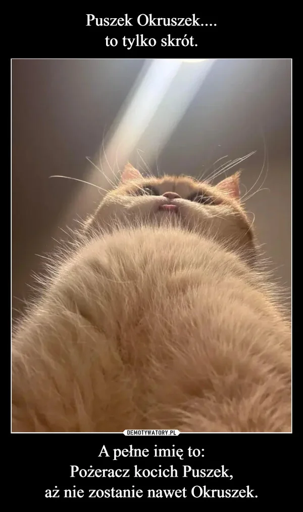 
    Puszek Okruszek.... to tylko skrót. A pełne imię to: Pożeracz kocich Puszek, aż nie zostanie nawet Okruszek.