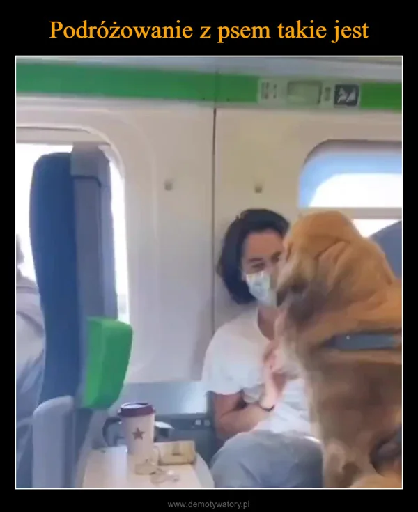 
    Podróżowanie z psem takie jest