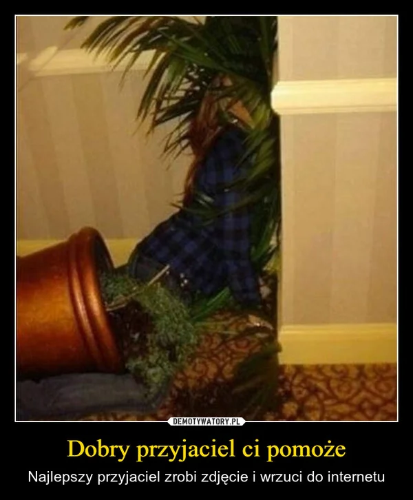 
    Dobry przyjaciel ci pomoże