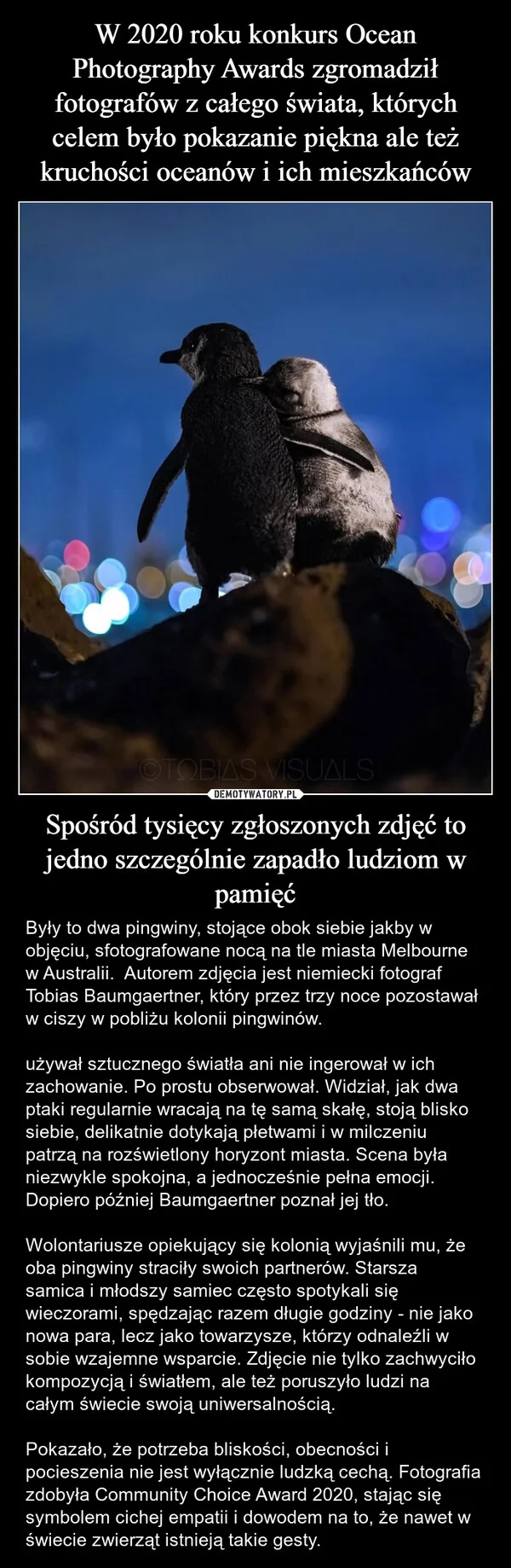 
    W 2020 roku konkurs Ocean Photography Awards zgromadził fotografów z całego świata, których celem było pokazanie piękna ale też kruchości oceanów i ich mieszkańców Spośród tysięcy zgłoszonych zdjęć to jedno szczególnie zapadło ludziom w pamięć