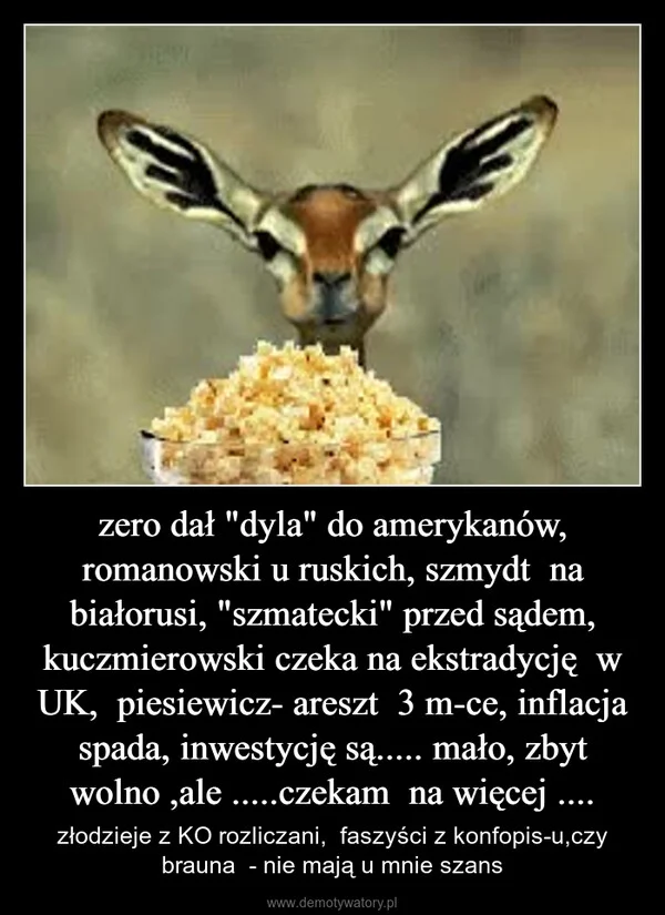 
    zero dał 