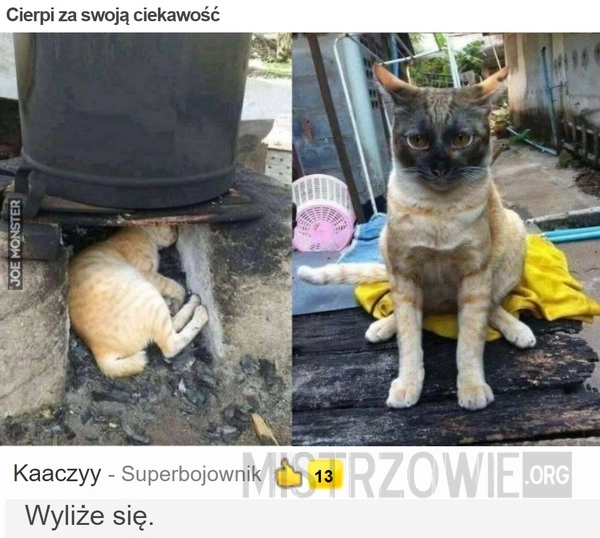 
    
			Cierpi za swoją ciekawość					