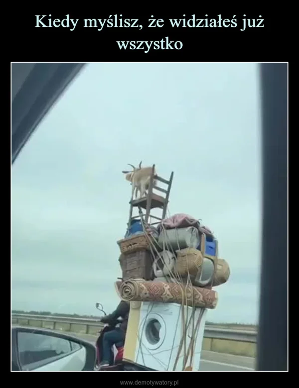 
    Kiedy myślisz, że widziałeś już wszystko