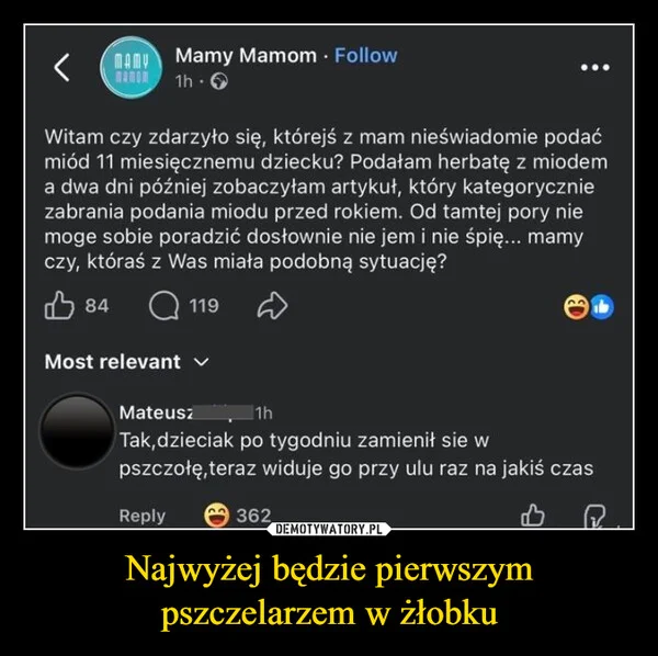 Najwyżej będzie pierwszym pszczelarzem w żłobku
