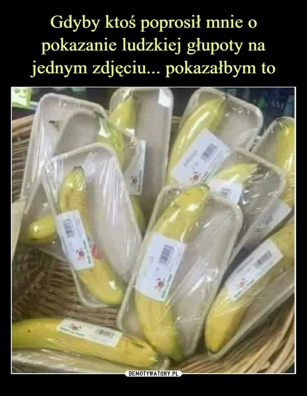 
    Gdyby ktoś poprosił mnie o pokazanie ludzkiej głupoty na jednym zdjęciu... pokazałbym to