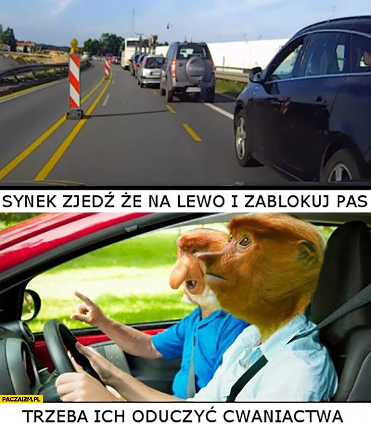 
    Synek zjedź że na lewo i zablokuj pas, trzeba ich oduczyć cwaniactwa. Typowy Polak nosacz małpa w samochodzie aucie