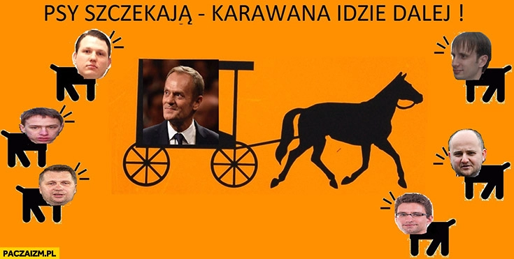 
    Psy szczekają karawana jedzie dalej Tusk