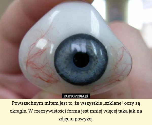 
    Powszechnym mitem jest to, że wszystkie „szklane” oczy są okrągłe. W rzeczywistości