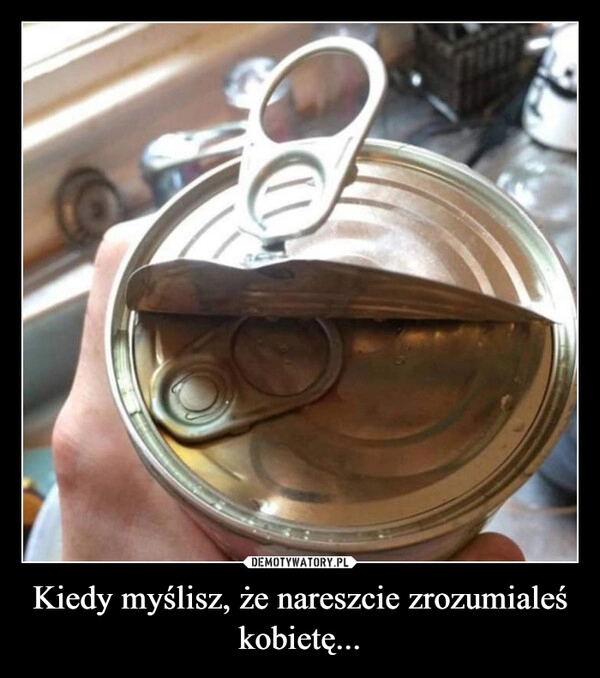 
    Kiedy myślisz, że nareszcie zrozumialeś kobietę...