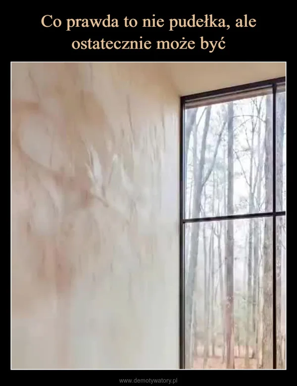 
    Co prawda to nie pudełka, ale ostatecznie może być