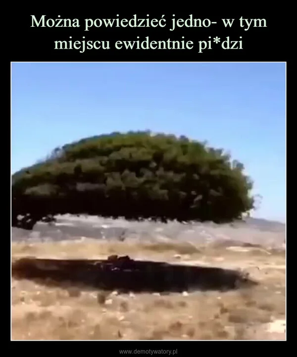 
    Można powiedzieć jedno- w tym miejscu ewidentnie pi*dzi