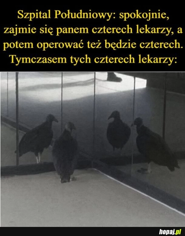 
    Szpital