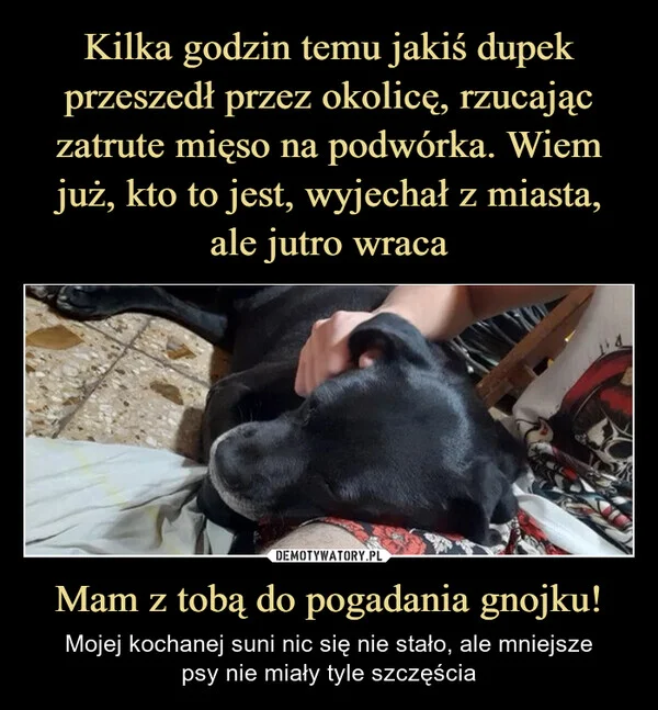 
    Kilka godzin temu jakiś dupek przeszedł przez okolicę, rzucając zatrute mięso na podwórka. Wiem już, kto to jest, wyjechał z miasta, ale jutro wraca Mam z tobą do pogadania gnojku!