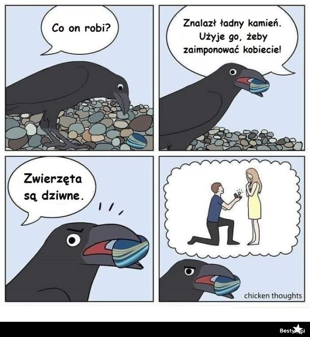 
    Zwyczaje 