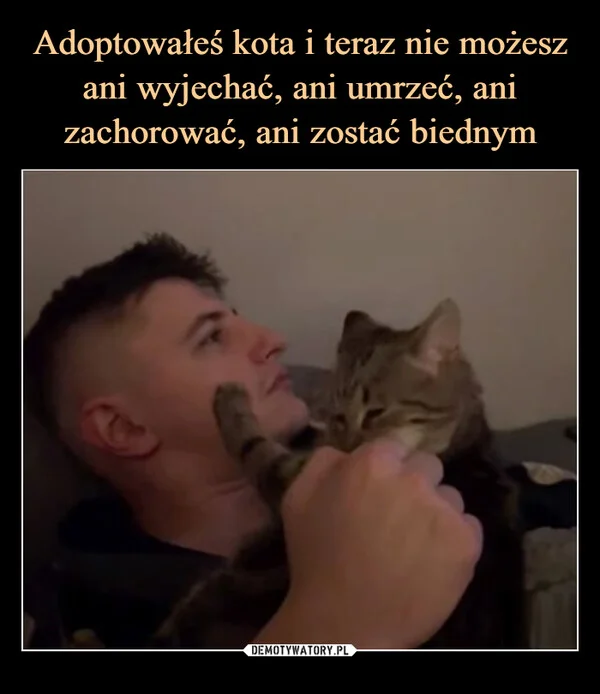 
    Adoptowałeś kota i teraz nie możesz ani wyjechać, ani umrzeć, ani zachorować, ani zostać biednym