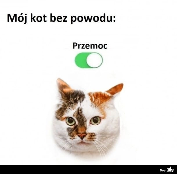 
    Tryb przemocy aktywowany 