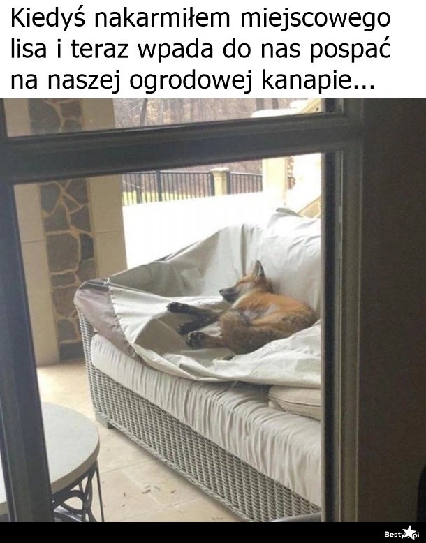 
    Częsty gość 