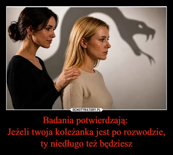 
    Badania potwierdzają: Jeżeli twoja koleżanka jest po rozwodzie, ty niedługo też będziesz
