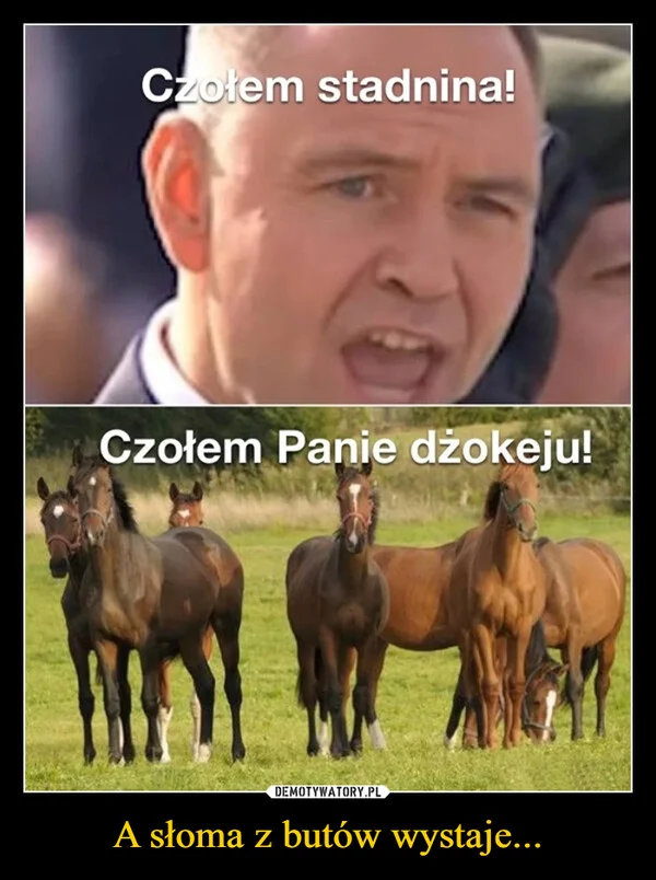 A słoma z butów wystaje...