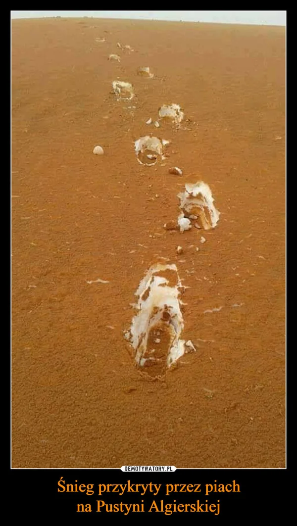 
    Śnieg przykryty przez piach na Pustyni Algierskiej