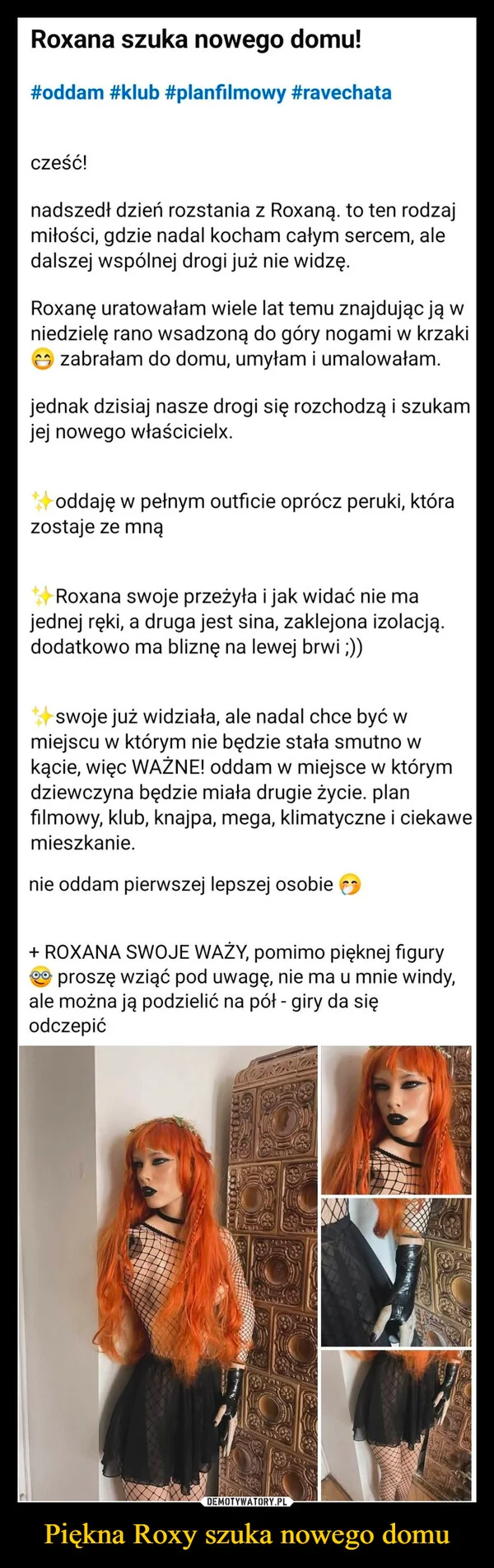 
    Piękna Roxy szuka nowego domu