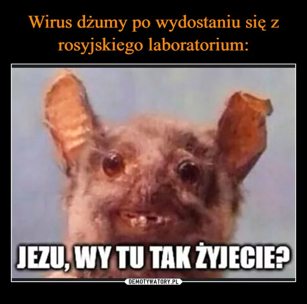 
    Wirus dżumy po wydostaniu się z rosyjskiego laboratorium: