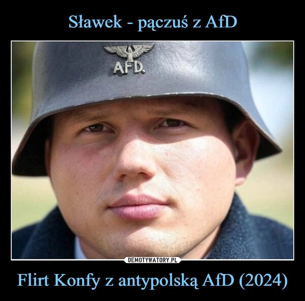 
    Sławek - pączuś z AfD Flirt Konfy z antypolską AfD (2024)