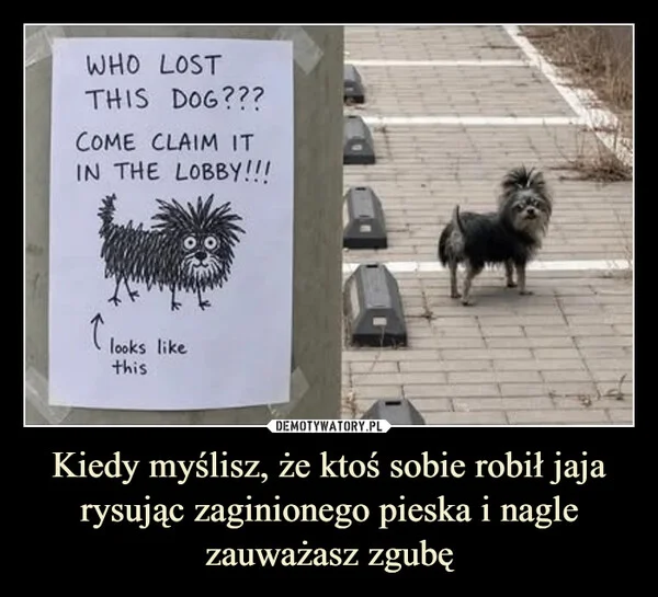 
    Kiedy myślisz, że ktoś sobie robił jaja rysując zaginionego pieska i nagle zauważasz zgubę