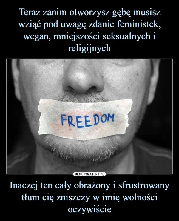 
    Teraz zanim otworzysz gębę musisz wziąć pod uwagę zdanie feministek, wegan, mniejszości seksualnych i religijnych Inaczej ten cały obrażony i sfrustrowany tłum cię zniszczy w imię wolności oczywiście