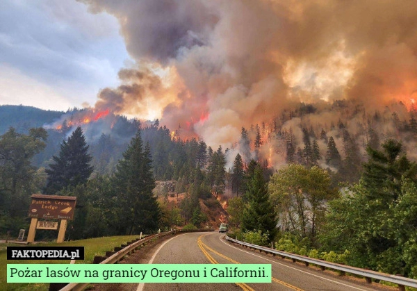 
    Pożar lasów na granicy Oregonu i Californii.