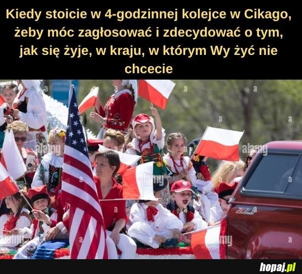 
    Mam ja Wam zagłosować? 