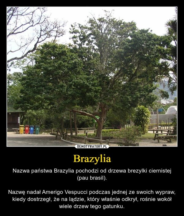 
    Brazylia