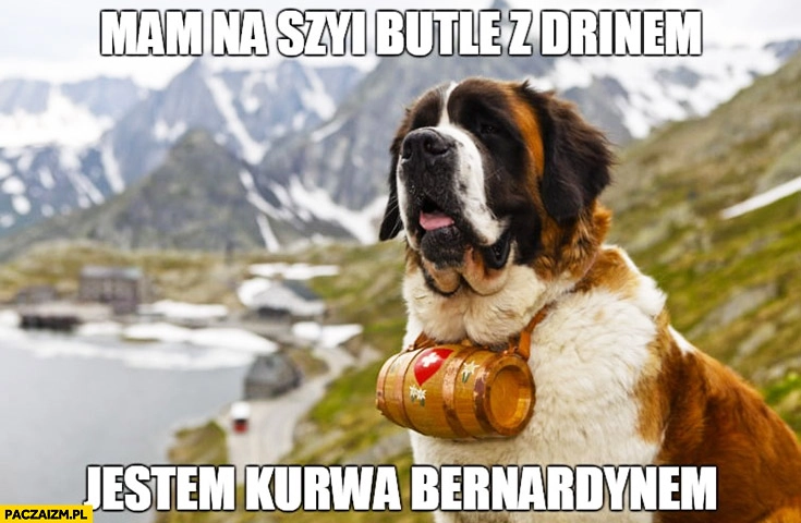 
    Mam na szyi butlę z drinem jestem kurna bernardynem