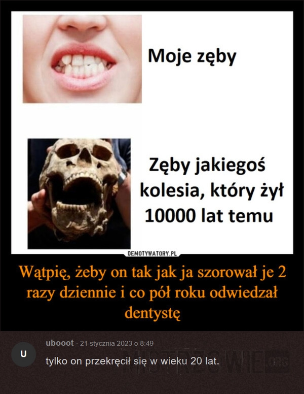 
    Zęby