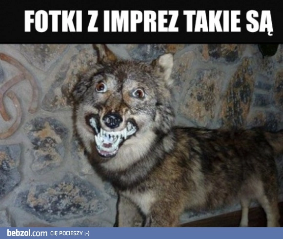 
    Fotki z imprezy 