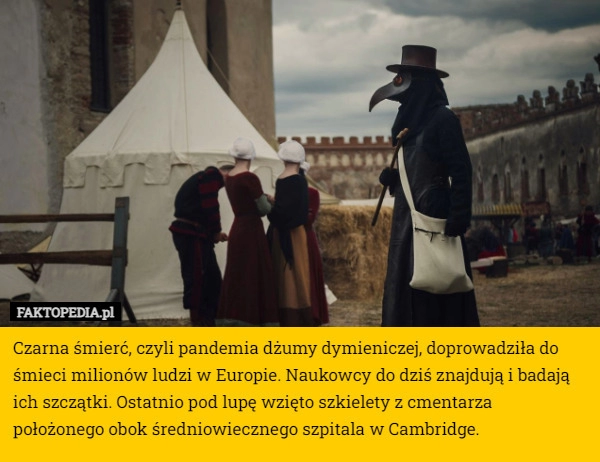 
    Czarna śmierć, czyli pandemia dżumy dymieniczej, doprowadziła do śmieci