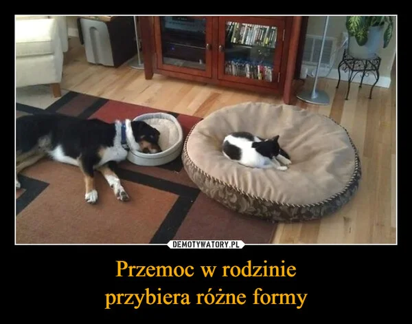 
    Przemoc w rodzinie przybiera różne formy