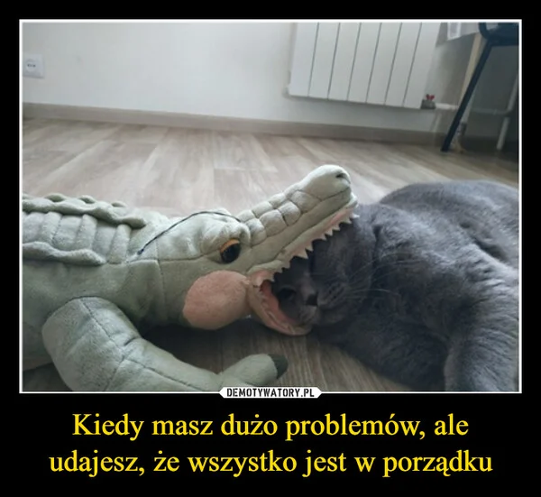 Kiedy masz dużo problemów, ale udajesz, że wszystko jest w porządku