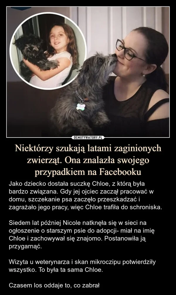 
    Niektórzy szukają latami zaginionych zwierząt. Ona znalazła swojego przypadkiem na Facebooku