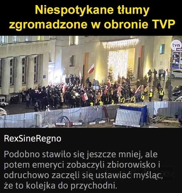 
    Tłumy