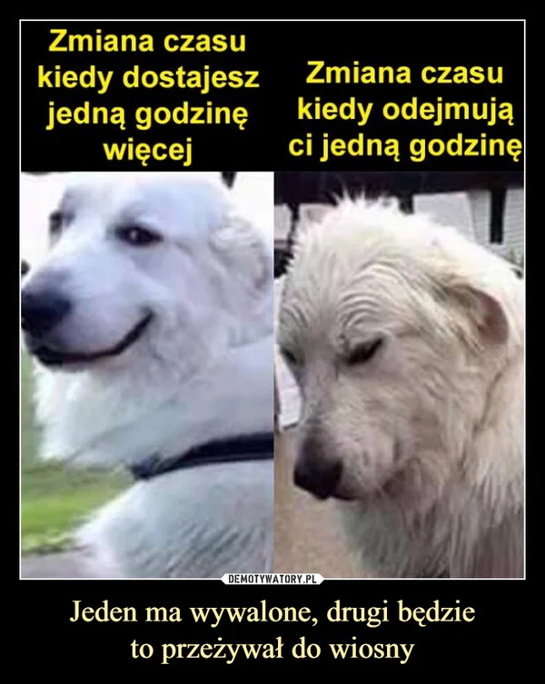 
    Jeden ma wywalone, drugi będzie to przeżywał do wiosny