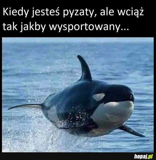 
    Tak jakby