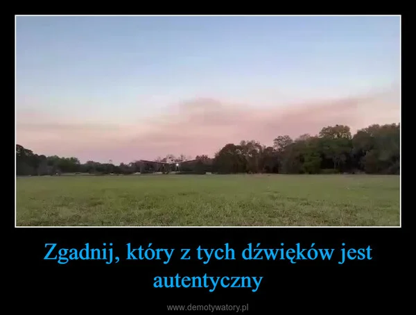 Zgadnij, który z tych dźwięków jest autentyczny