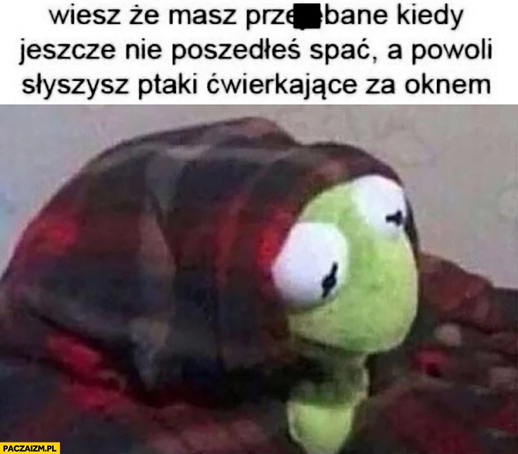 
    Kermit wiesz, że masz przerąbane kiedy jeszcze nie poszedłeś spać a powoli słyszysz ptaki ćwierkające za oknem