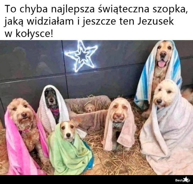 
    Świąteczna szopka 