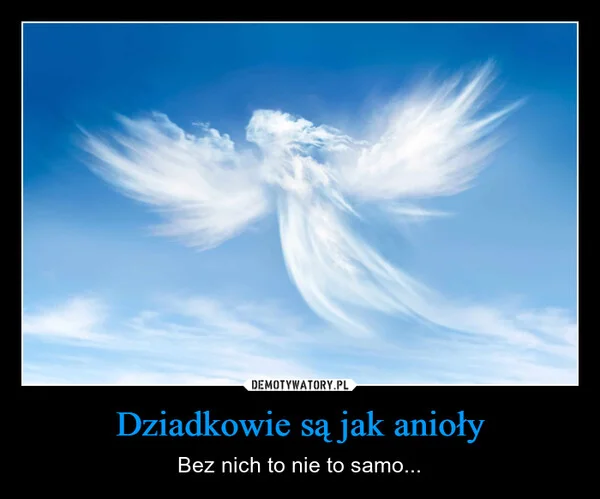 
    Dziadkowie są jak anioły